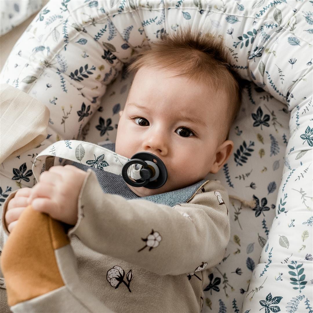 BIBS-duda-Iron-pacifier2.jpg